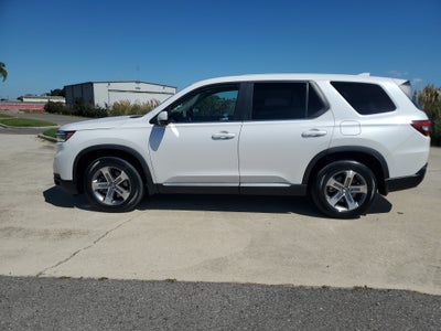 2024 Honda Pilot EX-L 8 Passenger