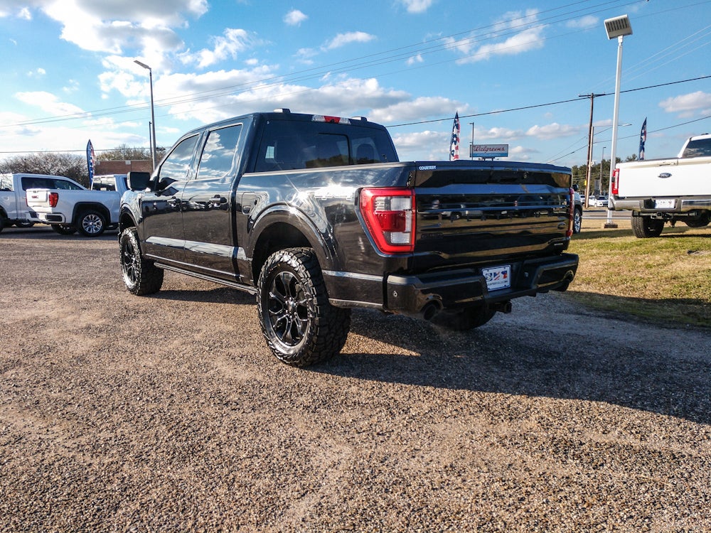 2022 Ford F-150 Platinum