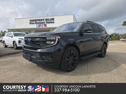 2025 Ford Expedition Active BLACKOUT 22s