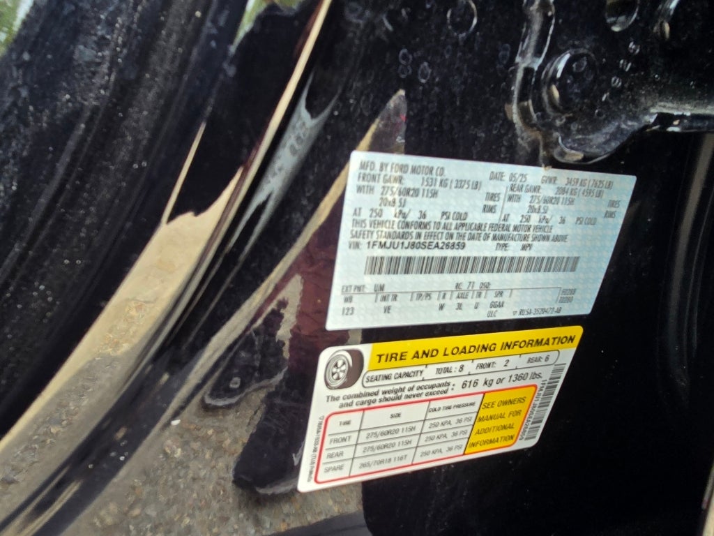 2025 Ford Expedition Active BLACKOUT 22s